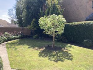 Garden- click for photo gallery